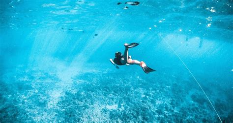 10 Best Fully Guided Tours in Philippines 2024/2025 .